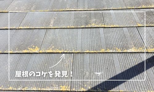 福島市にある屋根の劣化症状をご紹介